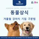 씽씽 동물의료센터 이미지