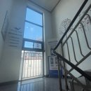 위너스영어교육연구소
