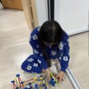 영아태권도 이미지