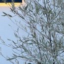 소소한이야기 이미지