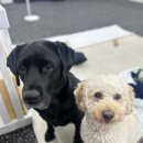 달콤체육관 이미지