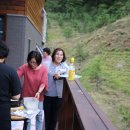 목재문화체험장야외화장실 이미지