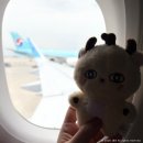 씨엘스 | 260626 박지훈 홍콩팬콘 무대, 하바회 등 후기