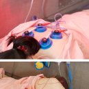 내포한의원 이미지