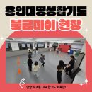 용인대 명성 합기도 이미지