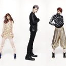 배짱이 엔터테인먼트 이미지