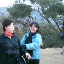 초우농장 이미지