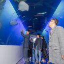 화진포해양박물관 이미지