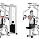 메이저 짐 이미지