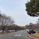 서울숲 주차장 화장실 | [성수 주차]서울숲 주차장/성수에서 가까운 공영주차장 이용 후기 일요일 오전 주차