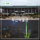 부산시립박물관 제2전시관 | 겨울 부산 여행 비오는날 실내 가볼만한곳 시립 부산 박물관 주차장