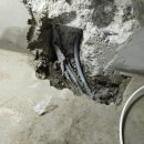 수원-1554 이미지