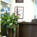 서재원조할매메기매운탕 이미지