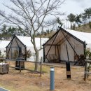 대영농원3농장 | 고창숙소 고창 상하농원 파머스빌리지 파머스글램핑 바베큐 조식 후기