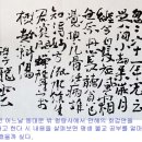 묘한인생 이미지