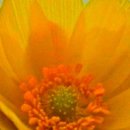 유교경전: 논어편 이미지