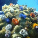 바다의숲 이미지