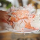 거진활어회센터 이미지