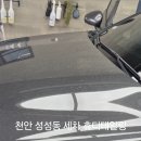 휴디테일링