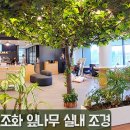 푸른나무조경 티스토리