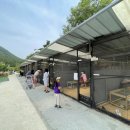 한우드림농장 이미지