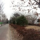 수원농생명과학고등학교 이미지