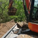 환영2농장 이미지