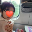 파미어스몰