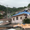 개미정비 이미지