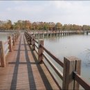 갈대습지공원 이미지