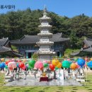 선심당 | 괴산 청천 관광명소 괴산 불교 사찰 청천 공림사 (2024년 5월~6월)