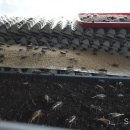 큐리농장 이미지