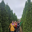 토박이 | 제주 택시투어 후기, 토박이 기사와 함께하는 진짜 여행