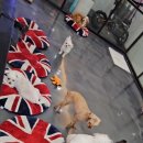 개털깍는 사랑이네 이미지