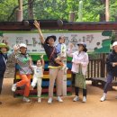 숲의 이야기를 들어볼래? 이미지