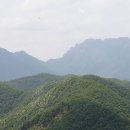 수영4리 이미지