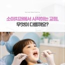 울산쥬니어소아치과의원 | 울산소아치과에서 시작하는 아이 교정 치료, 무엇이 다를까요?
