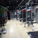 바디와이짐 이미지