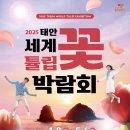 태안군, 2025 태안 세계튤립꽃박람회 4월 8일 개막!(서산태안TV) 이미지