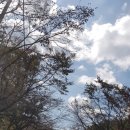 쌍치보건지소 이미지