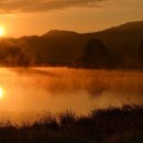 몸애, 끌림 이미지