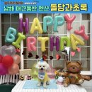 돌담과 초록 | 남해 애견동반 독채펜션 돌담과 초록 2박3일 후기