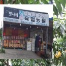 육일농원 이미지