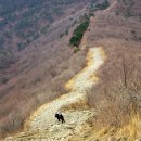 산내들관광농원 | 낙동정맥 10구간 (땅고개~석남터널)