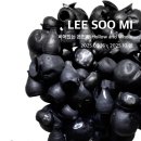 이수미 개인전 이미지