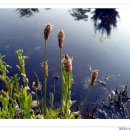 백화초등학교 이미지