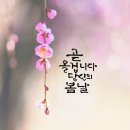 좋은사람들 Daum카페
