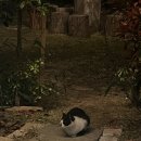 물금농협 원동지점 이미지