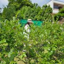 운심농장 이미지