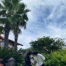 동화나라 애견 이미지